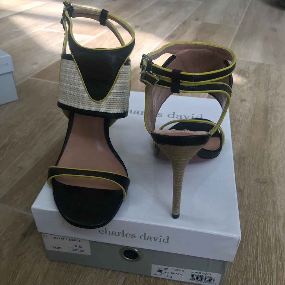 Charles David Braza Stiletto size 9